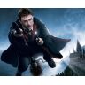 Ожерелье Harry Potter Firebolt deathly hallows
