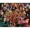 Пазл Гарри Поттер Harry Potter Characters Movie Collage Puzzle (1000-Piece)