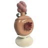 Плюмбус Солонка і Перечниця Рік і Морті - 8 '' Plumbus 2 in 1 Salt and Pepper Shakers