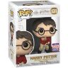 Фігурка Funko Pop Harry Potter with Flying Key (2021 Exclusive) 131