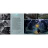 Артбук книга Art of Hearthstone Year of the Raven Volume 4 (Твёрдый переплёт) (Eng) том 4