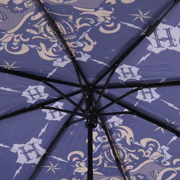 Зонт Cerda Harry Potter Hogwarts Umbrella Blue