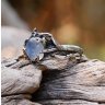 Кільце World of Warcraft Shadowlands Ardenweald ring Арденвельд (розмір 8)