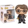 Фигурка Funko Harry Potter with Basilisk Fang and Sword фанко Гарри Поттер меч клык (Exclusive 2022 FC) 147