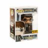 Фигурка Funko Pop! Harry Potter with Sword Hot Topic Exclusive